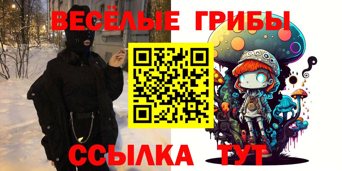 Пенза  дарнет шоп  Вход с VPN  Галлюциногенные грибы Psilocybine cubensis 