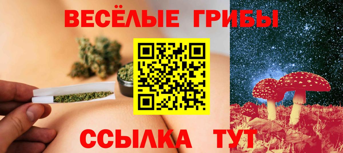 Псилоцибиновые грибы мухоморы Пенза